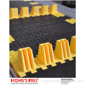 The Car Industry Modular Belt with Pusher (HS-1800D)